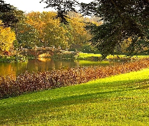 Jesień, Park, Rzeka, Mostek