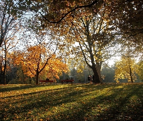 Jesień, Liście, Ludzie, Park, Przebijające, Światło