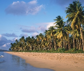 Palmy, Plaża