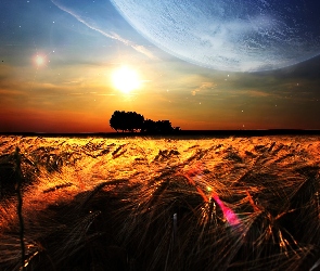 Słońca, Zboże, Zachód