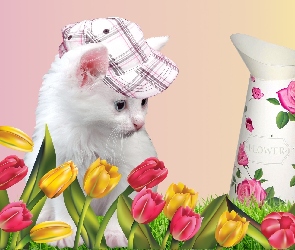 Tulipany, Czapka, Biały, Kotek