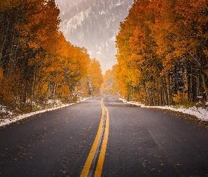 Droga, Jesień, Góry, Lasy