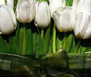 Białych, Kokardka, Zielona, Tulipanów, Wiązanka