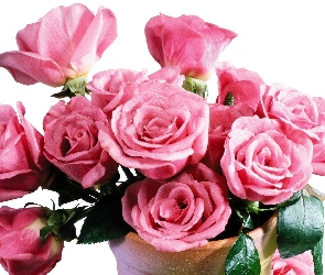 Róże, Wazon, Różowe
