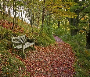 Ścieżka, Park, Jesień, Ławka, Góra
