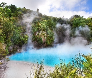 Nowa Zelandia, Para, Jezioro, Waimangu Volcanic Valley