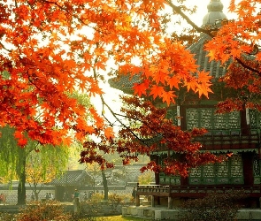 Pałacyk, Korea, Jesień, Seul, Gałęzie