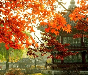 Gałęzie, Korea, Seul, Jesień, Pałacyk