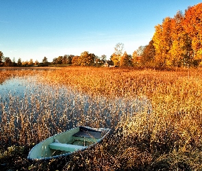 Jesień, Domy, Łódka, Jezioro, Szuwary, Las