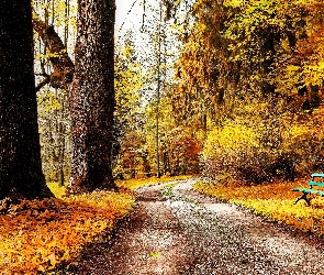 Park, Jesień, Ławka, Drzewa, Aleja