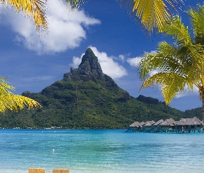 Bora Bora, Palmy, Góra, Morze