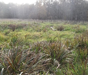 Bagno, Jesienią