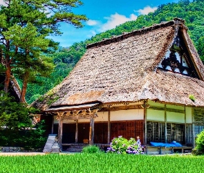 Ogród, Japonia, Dom