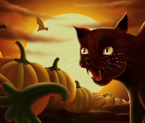Kot, Halloween, Dynie