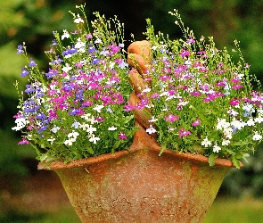 Gliniany, Kosz, Lobelia