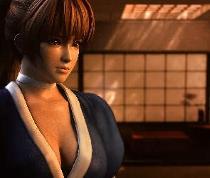 Dead Or Alive 5, Kasumi