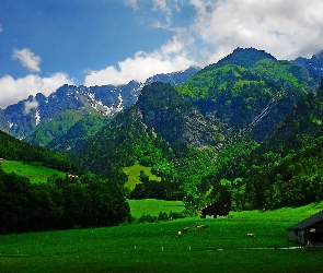 Góry, Domy, Łąki, Zwierzęta, Lasy