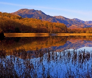 Jezioro, Las, Góry