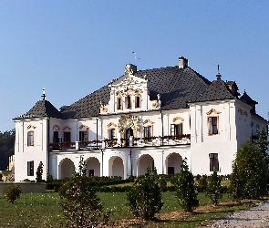 Pałac, Park, Czyżów