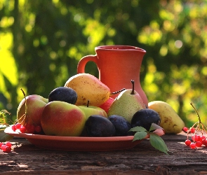 Jesieni, Światło, Ławka, Ogród, Owoce