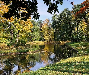 Rzeka, Park, Jesień, Drzewa, Liście, Kolorowe
