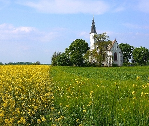 Pole, Kościół, Rzepak