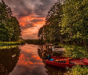 Rzeka, Łódki, Słońca, Zachód, Las