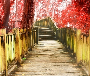 Czerwone, Drzewa, Most