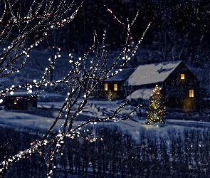 Noc, Domy, Zima, Narodzenie, Drzewa, Boże, Śnieg, Choinka