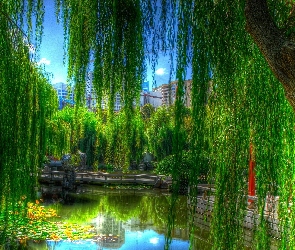 Park, Staw