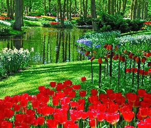 Park, Holandia, Kwiaty
