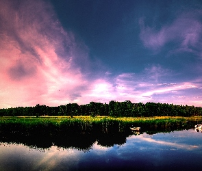 Drzewa, Łódki, Jezioro