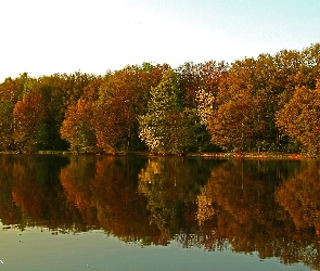 Drzewa, Jezioro