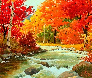 Głazy, Rzeka, Jesienny, Las