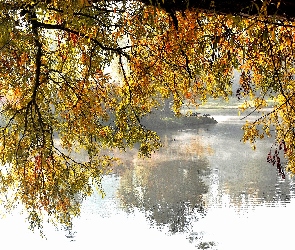 Jezioro, Liście