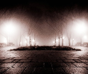 Ławki, Światła, Park, Noc