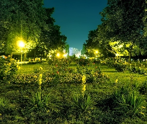 Bukareszt, Nocą, Park, Crangasi