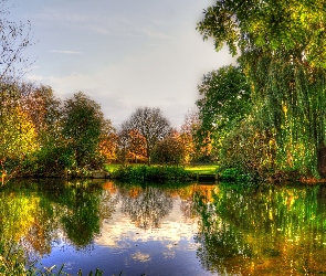 Jesień, Drzewa, Staw, Park