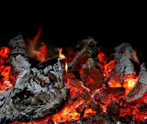Palenisko, Ogień