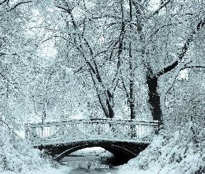 Zima, Park, Rzeka, Mostek