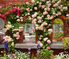 Ogród, Altanka, Róże, Pnące