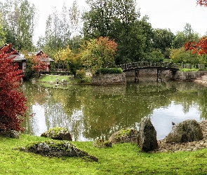 Jesień, Drzewa, Rzeczka, Park, Mostek, Kolorowe