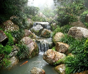 Koi, Karp, Zen, Ogród, Kaskada, Sadzawka