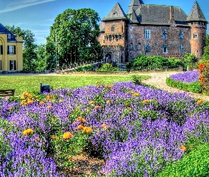 Burg Linn, Zamek Linn, Lawenda, Nardenia Północna-Westfalia, Niemcy, Ogród, Miejscowość Krefeld