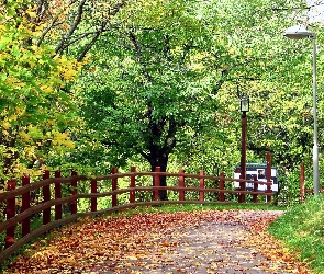 Aleja, Liście, Opadłe, Ogrodzenie, Park