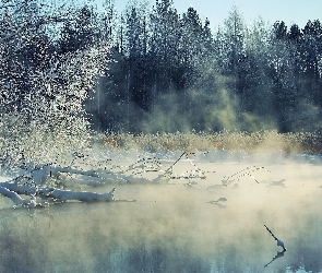 Mróz, Las, Mgła, Jezioro