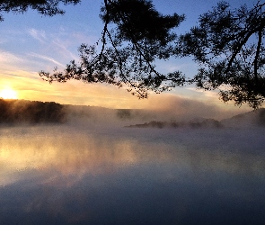 Jezioro, Gałąź, Mgła