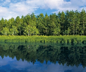 Obłoki, Odbicie, Rzeka, Las, Świt