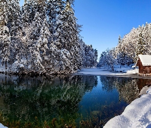 Rzeka, Szopa, Drewniana, Las, Zima