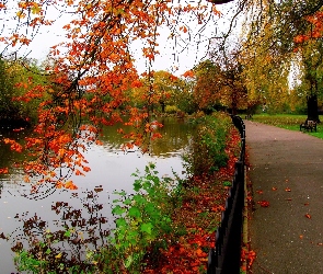 Park, Aleja, Drzewa, Ławki, Jesień, Staw